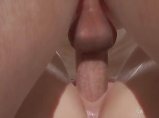 Close Up Pussy Insertion : 3D Porn