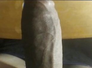 Huge Horse Cock Up Close