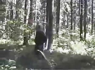 Russian forest whipping