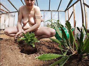 Naked Greenhouse Worker Planting Cacti