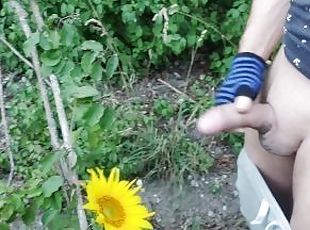 Outdoor guy pollinates a sunflower (OnlyFans Funnyboy_Ger)