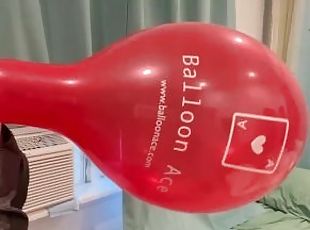 Blowing up a 14 Belbal Balloon until it POPS!